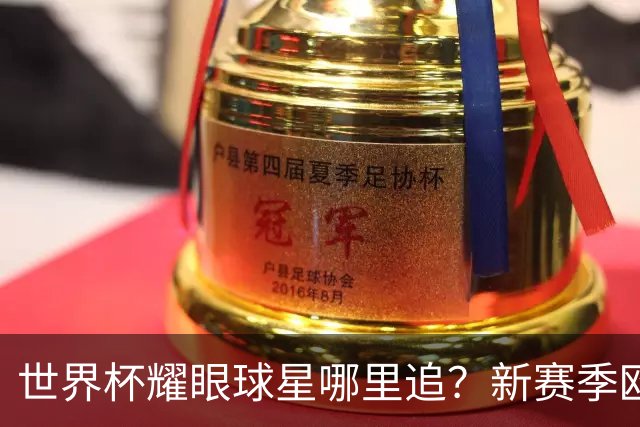 世界杯耀眼球星哪里追？新赛季欧冠群星同台 续写高光名场面
