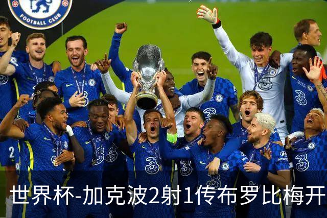 世界杯-加克波2射1传布罗比梅开二度 荷兰5-1大胜瑞典