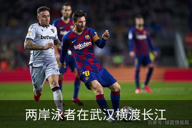 两岸泳者在武汉横渡长江