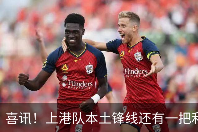 喜讯！上港队本土锋线还有一把利器有可能复出亮相，曾留洋欧洲