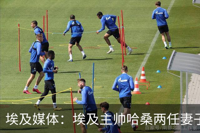 埃及媒体：埃及主帅哈桑两任妻子发生肢体冲突，哈桑本人一度昏厥