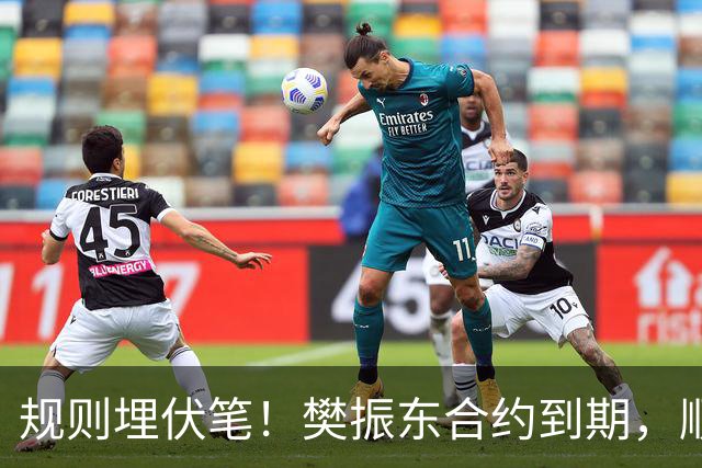 规则埋伏笔！樊振东合约到期，顺势归队，王励勤布局尽显大智慧