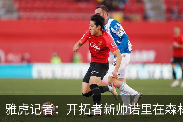 雅虎记者：开拓者新帅诺里在森林狼培养里德的经验或适用于杨瀚森
