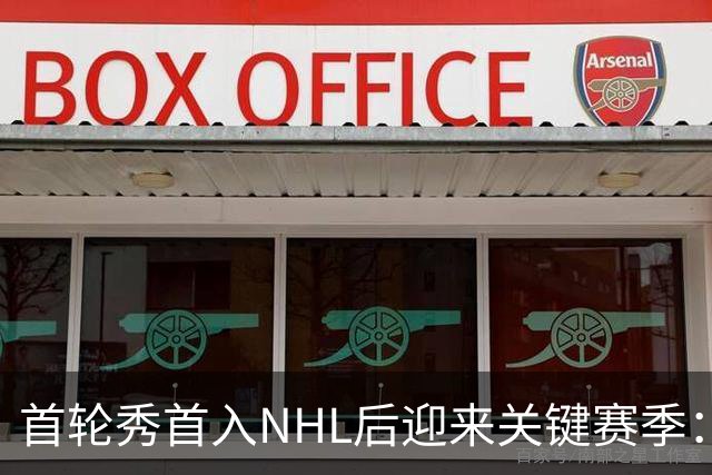 首轮秀首入NHL后迎来关键赛季：21岁后卫能否突破自己